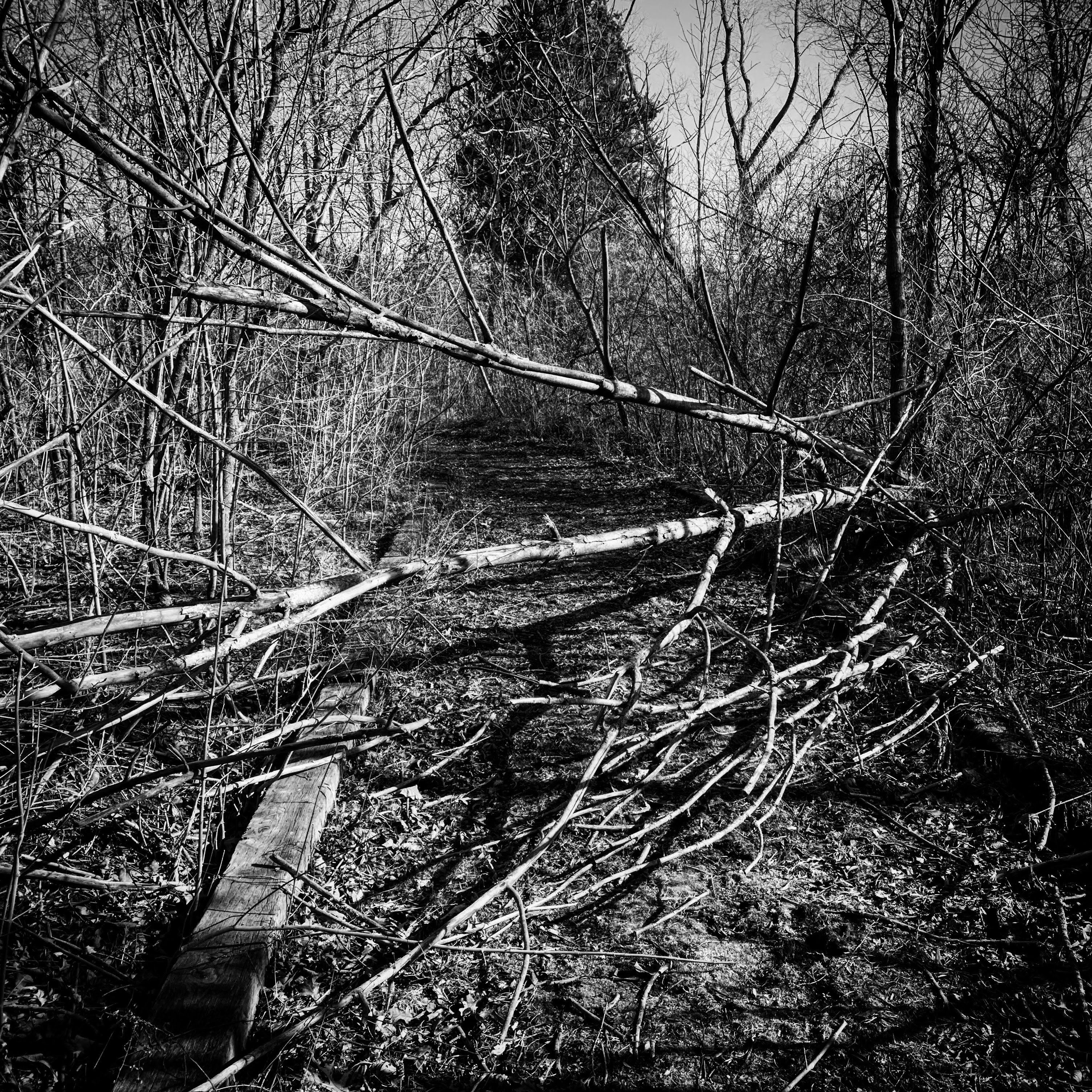 4efcb4cb-d191-4ea2-ac95-94ca6ecc7a3f