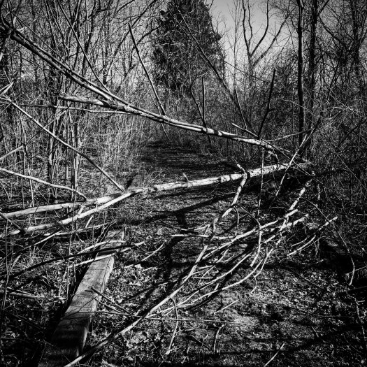 4efcb4cb-d191-4ea2-ac95-94ca6ecc7a3f